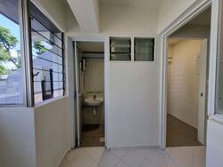 Dunearn Road (D11), Condominium #484958761